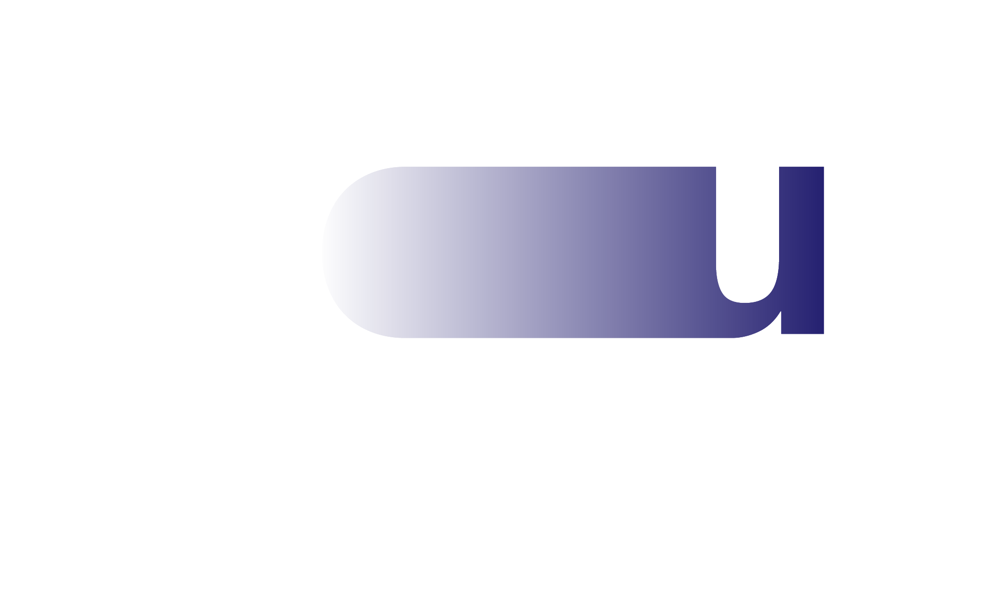 neues Logo von Nocturnal Untrest