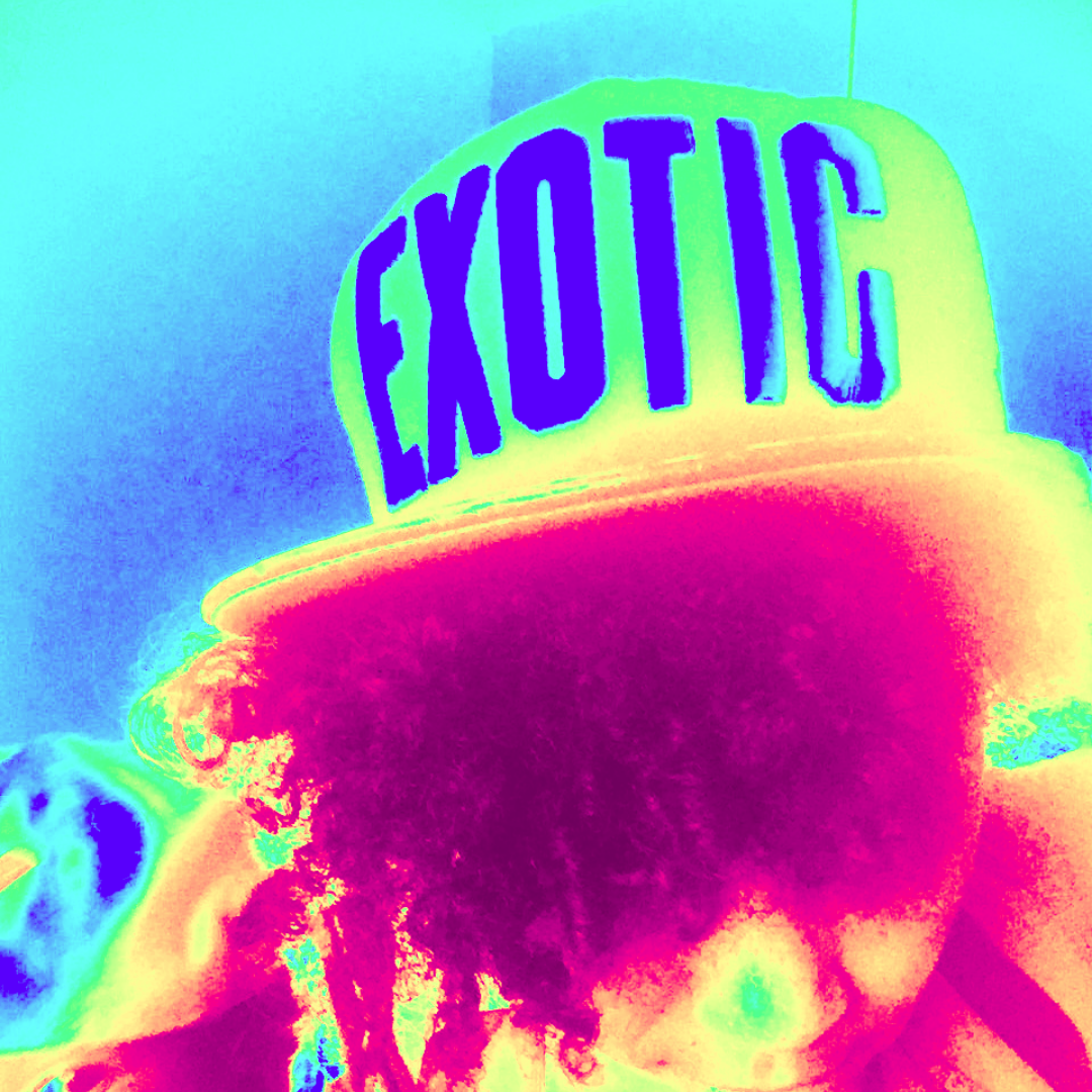 Auf dem Bild ist der Kopf einer Person zu sehen, die eine Kappe mit dem Schrift "Exotic" (Exotik/ exotisch) trägt. Das Bild ist in Blau und Rottönen eingefärbt.