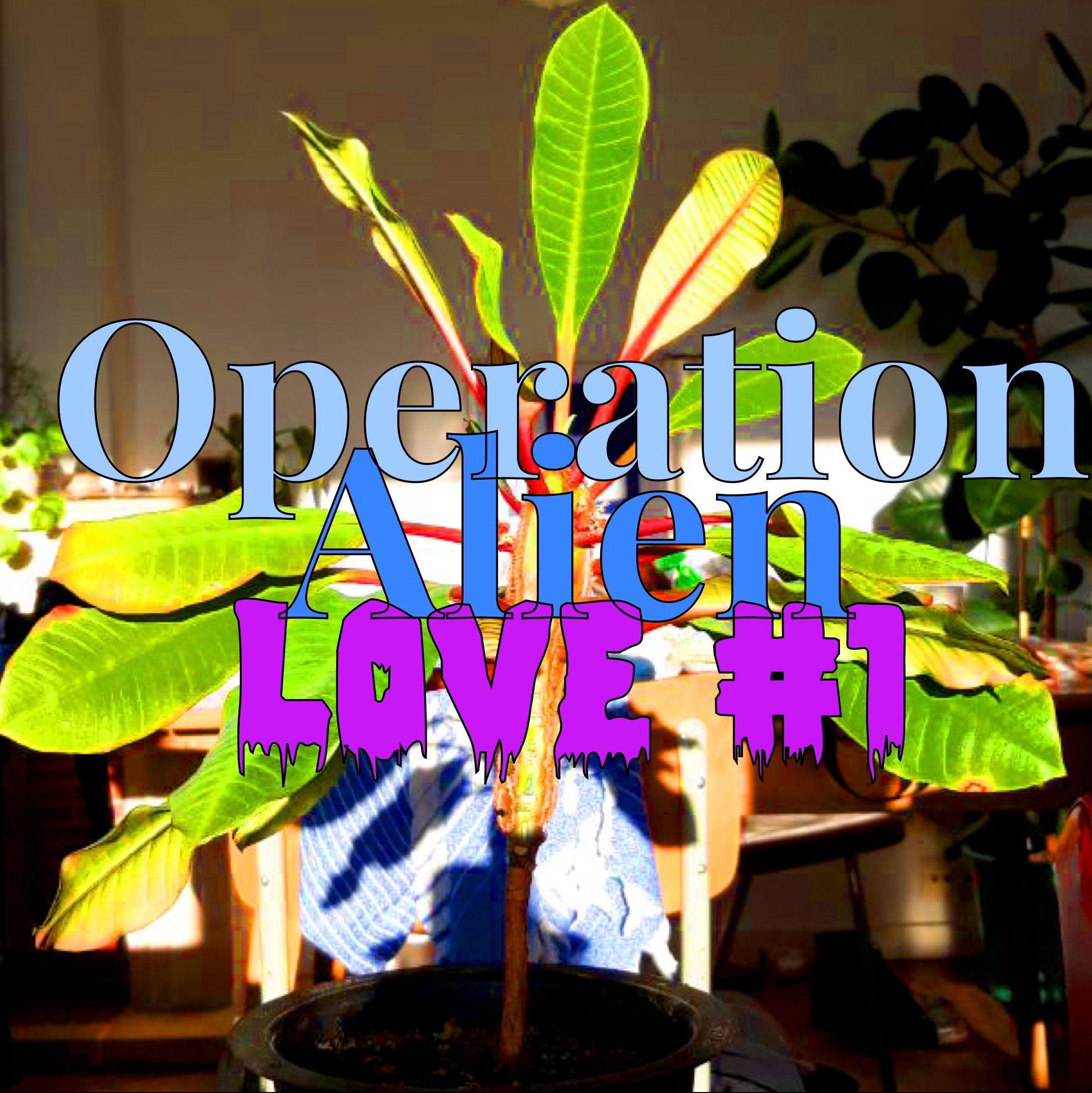 In der Mitte des Bildes ist eine Pflanze im Hintergrund, die in einem Zimmer steht. Darüber steht "Operation Alien Love #1" .